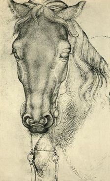 Head of a horse, c1420-1455, (1943). Creator: Pisanello