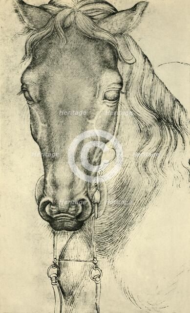 Head of a horse, c1420-1455, (1943). Creator: Pisanello.