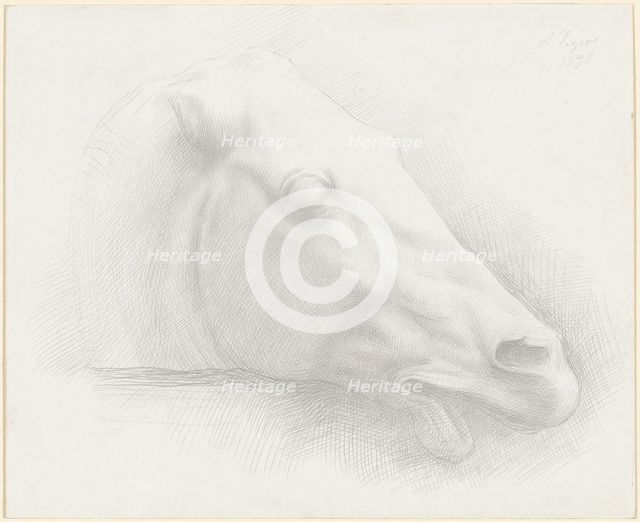 Head of a Horse from the Parthenon, 1898. Creator: Alphonse Legros.