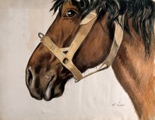 Head of a horse in profile, with raised sores near his nostrils and his mouth, c1880-1920. Creator: Henri Loubat