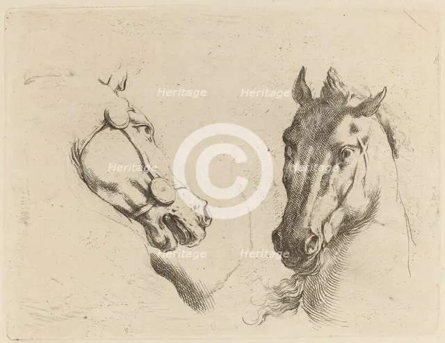 Head of a Horse Seen in Profile and in Three-Quarters. Creator: Stefano della Bella.