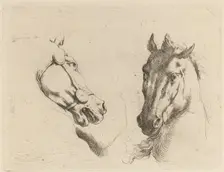 Head of a Horse Seen in Profile and in Three-Quarters. Creator: Stefano della Bella