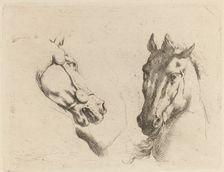 Head of a Horse Seen in Profile and in Three-Quarters. Creator: Stefano della Bella
