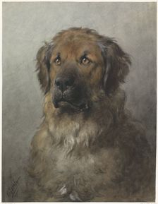 Head of a Leonberger, c.1880-c.1892. Creator: Otto Eerelman