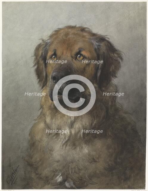 Head of a Leonberger, c.1880-c.1892. Creator: Otto Eerelman.