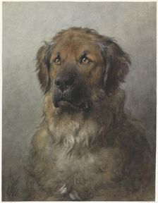 Head of a Leonberger, c.1880-c.1892. Creator: Otto Eerelman