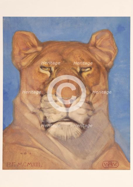 Head of a lioness, 1866-1939. Creator: Bernard Willem Wierink.
