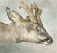 Head of a Roebuck, c.1800. Creator: Wybrand Hendriks