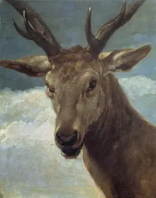 Head of a Stag, 1626-28. Creator: Diego Velasquez