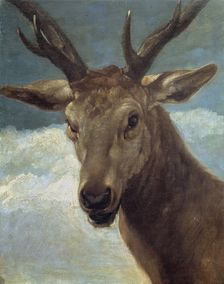 Head of a Stag, 1626-28. Creator: Diego Velasquez