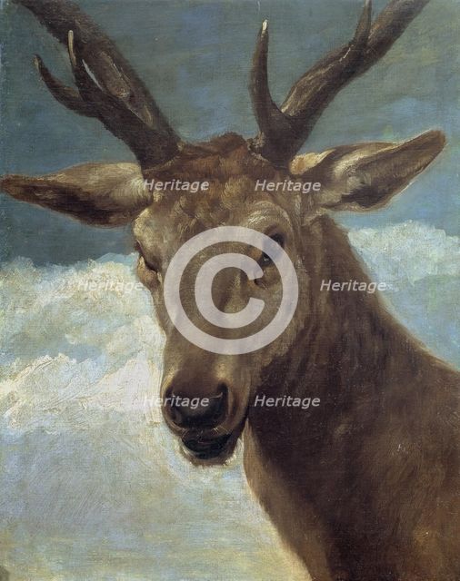 Head of a Stag, 1626-28. Creator: Diego Velasquez.