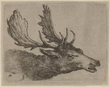 Head of a Stag Turned Right. Creator: Stefano della Bella