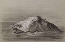 Head of a Swimming Horse, c1865. Creator: Nicolai Egorovich Sverchkov