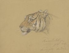 Head of a Tiger, 1847. Creator: Raden Saleh