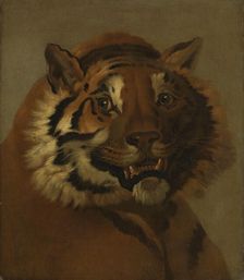 Head of a Tiger, Undated. Creator: Johann Heinrich Wilhelm Tischbein