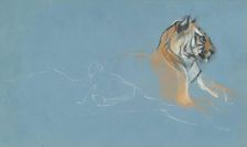 Head of a Tigress, c1900s. Creator: John MacAllan Swan
