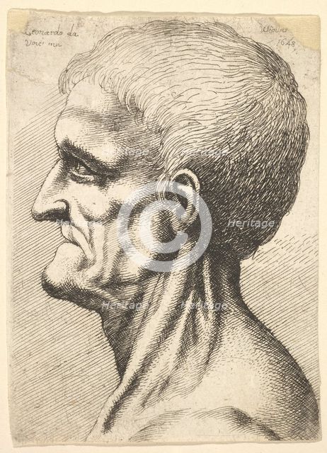 Head of a toothless man with bare, sinewy neck in profile to left, 1648. Creator: Wenceslaus Hollar.