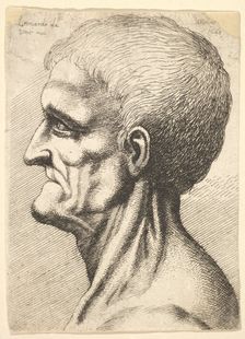 Head of a toothless man with bare, sinewy neck in profile to left, 1648. Creator: Wenceslaus Hollar