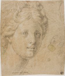Head of a Woman, n.d. Creator: Antonio Balestra