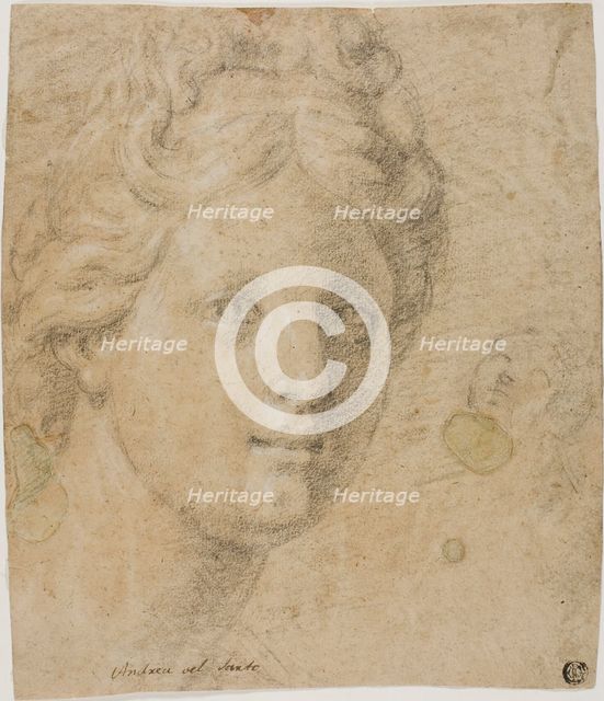 Head of a Woman, n.d. Creator: Antonio Balestra.