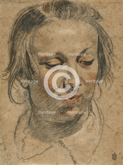 Head of a Woman, about 1635. Creator: Jacob Jordaens I.
