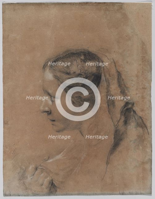 Head of a Woman in Profile with a Scarf. Creator: Giovanni Battista Piazzetta (Italian, 1682-1754).