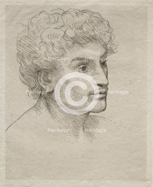 Head of a Young Man. Creator: Alphonse Legros (French, 1837-1911).