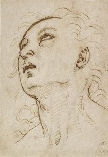 Head of a young Man gazing upwards, c1497-c1504. Artist: Raphael