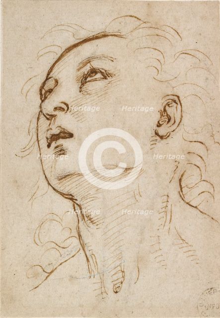 Head of a young Man gazing upwards, c1497-c1504. Artist: Raphael.