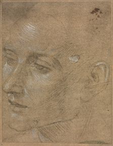 Head of a Young Man, second half 1400s. Creator: Filippino Lippi (Italian, 1457-1504)