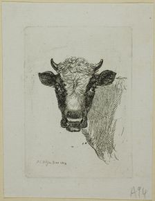 Head of a Young Bull, from Die Zweite Thierfolge, 1803. Creator: Johann Christian Reinhart