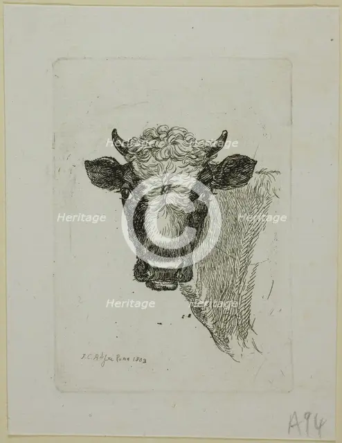 Head of a Young Bull, from Die Zweite Thierfolge, 1803. Creator: Johann Christian Reinhart.