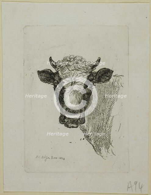 Head of a Young Bull, from Die Zweite Thierfolge, 1803. Creator: Johann Christian Reinhart.