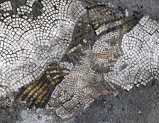 Head of a young rustic...mosaic pavement in the Great Palace of Constantinople, 4th-6th century. Creator: LTL