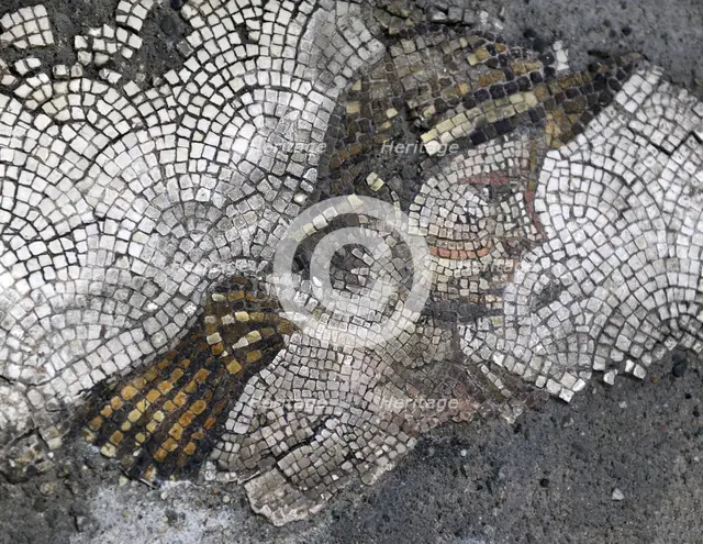 Head of a young rustic...mosaic pavement in the Great Palace of Constantinople, 4th-6th century. Creator: LTL.
