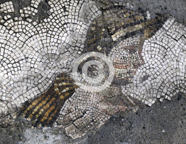 Head of a young rustic...mosaic pavement in the Great Palace of Constantinople, 4th-6th century. Creator: LTL.