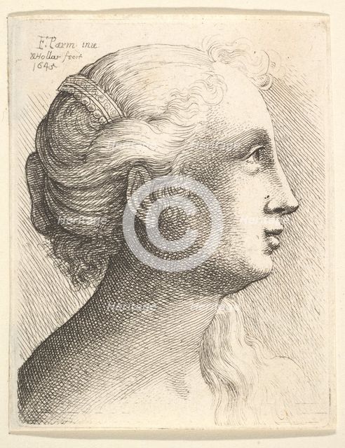 Head of a young woman in profile to right, 1645. Creator: Wenceslaus Hollar.