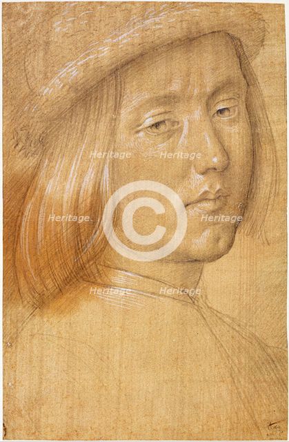 Head of a Youth. Artist: Lorenzo di Credi (1459-1537)