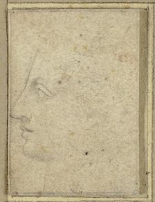 Head of a Youth in Profile to Left, n.d. Creator: Unknown