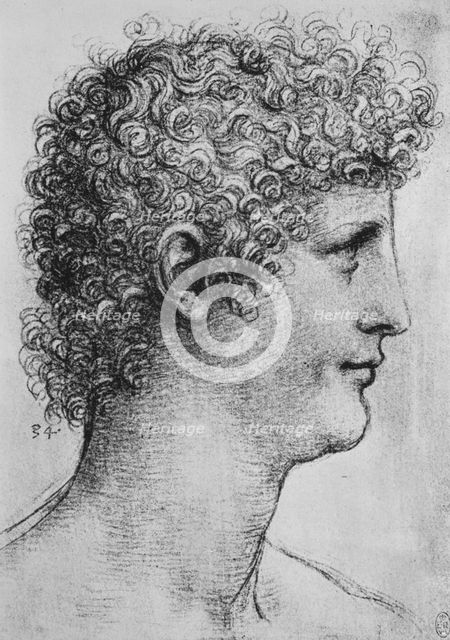 'Head of a Youth in Profile to the Right', c1480 (1945). Artist: Leonardo da Vinci.