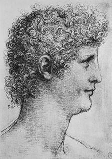 Head of a Youth in Profile to the Right c1480 (1945). Artist: Leonardo da Vinci