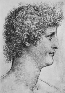 Head of a Youth in Profile to the Right c1480 (1945). Artist: Leonardo da Vinci