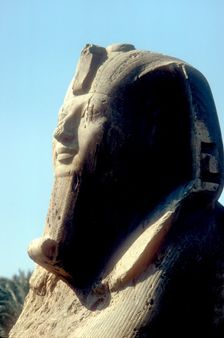 Head of Alabaster Sphinx, Memphis, Egypt, 18th or 19th Dynasty, c14th - 13th century BC