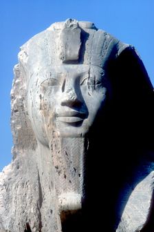 Head of Alabaster Sphinx, Memphis, Egypt, 18th or 19th Dynasty, c14th-13th century BC