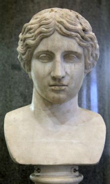 Head of an Amazon, early 1st century