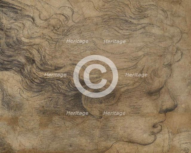 Head of an Angel. Creator: Raphael (Raffaello Sanzio da Urbino) (1483-1520).