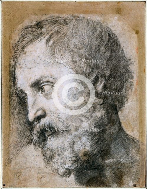 Head of An Apostle (Study for Transfiguration), 1519-1520. Artist: Raphael (1483-1520)