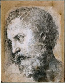 Head of An Apostle (Study for Transfiguration), 1519-1520. Artist: Raphael (1483-1520)