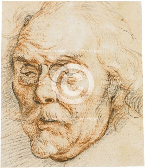 Head of an Elderly Man wearing glasses.