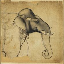 Head of an elephant, 1700-1710